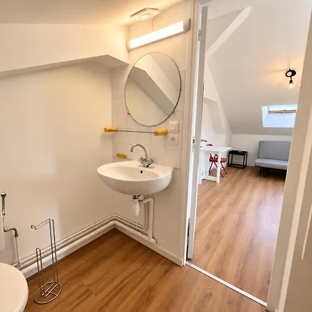 Appartement Loft Sous Les Toits En Centre-ville