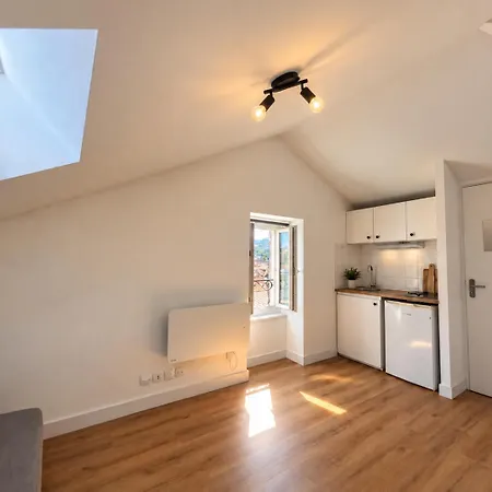 Loft Sous Les Toits En Centre-ville Appartement *